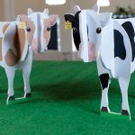 Making pattern recognition and A.I. relevant in the real world, with cows